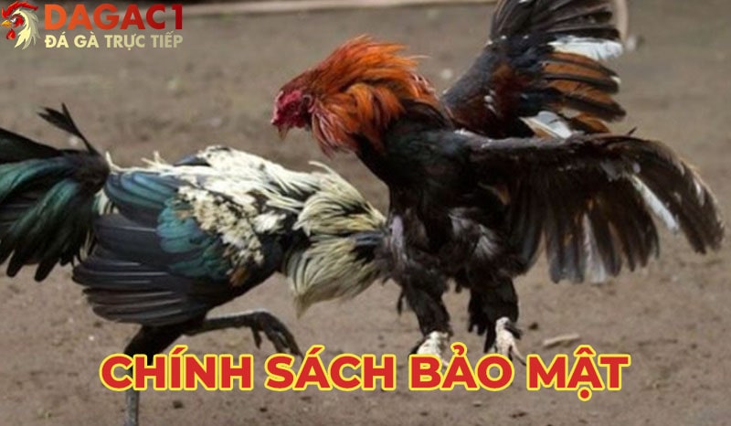 Nội dung chính sách bảo mật tại trang đá gà trực tiếp Dien0dong.com