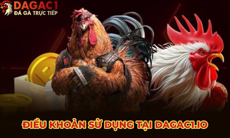 Điều khoản sử dụng tại Dien0dong.com