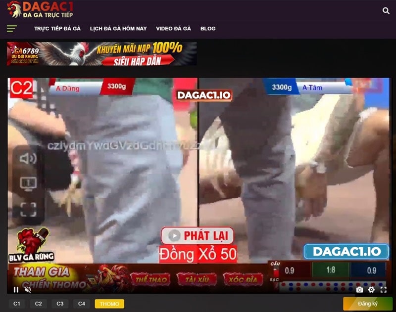 Dien0dong.com là web phát đá gà trực tiếp tốt nhất hiện nay