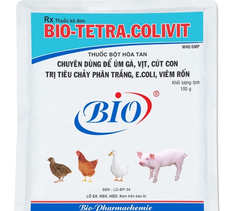 Dùng TERRA COLIVIT để chữa gà sưng phù đầu được nhiều sư kê áp dụng đem lại hiệu quả tức thì