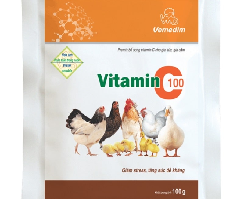 Kết hợp dùng vitamin C cho gà để tăng thể lực và sức đề kháng